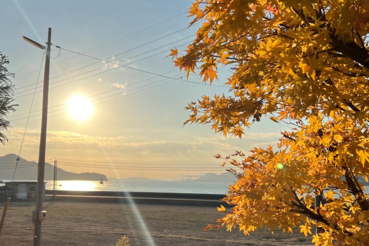 秋の佐木島 写真ギャラリー📷