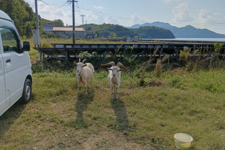 佐木島に秋が訪れています！